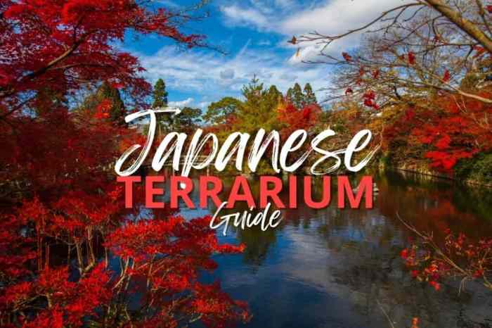 Japanese Terrarium: 5 Influences and Zen Projects to Explore Japanese Terrarium: 5 Influences and Zen Projects to Explore