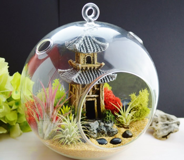 Japanese Garden Terrarium with Airplants by BeachCottageBoutique Japanese Garden Terrarium with Airplants by BeachCottageBoutique